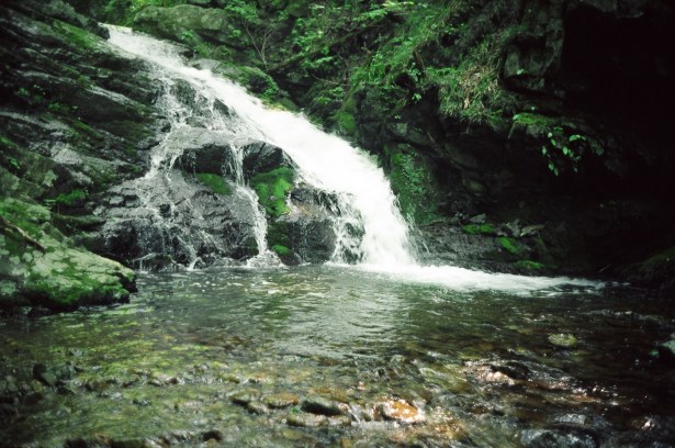 ���n�����C