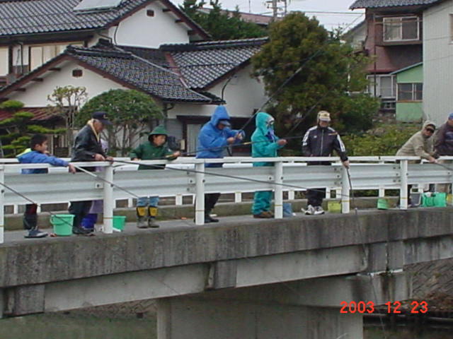 ���J�T�M�ނ蕗�i