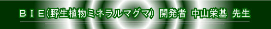 BIE開発者　中山栄基先生